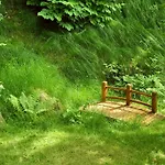 Am Urzeitpark Sebnitz Hertigswalde