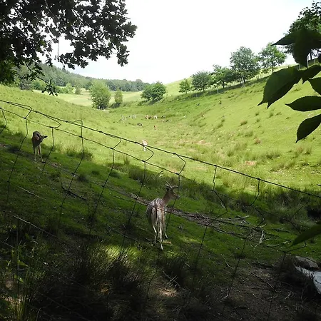 Am Urzeitpark Sebnitz